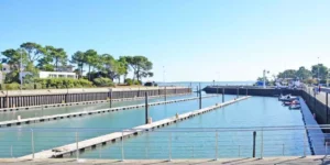 port de la vigne